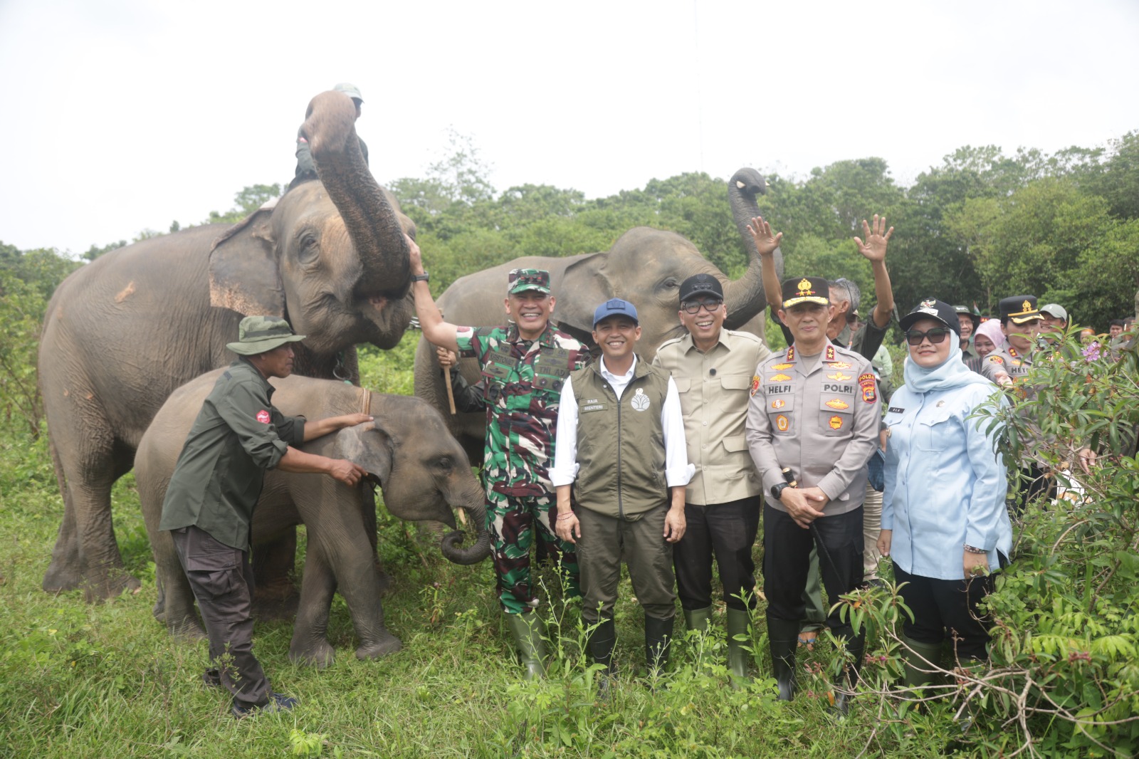 Pemerintah Bangun Pembatas 138 Km di Way Kambas, Solusi Permanen Konflik Gajah dan Manusia